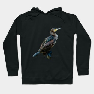 Cormorant Hoodie